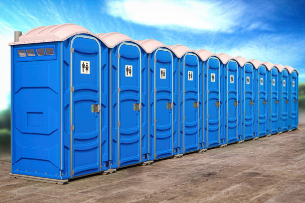 Best Standard Portable Toilet Rental  in Goldstream, AK