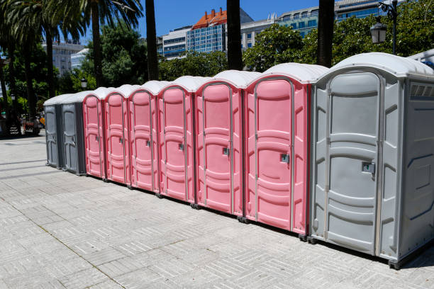 Types of Portable Toilets We Offer in Goldstream, AK